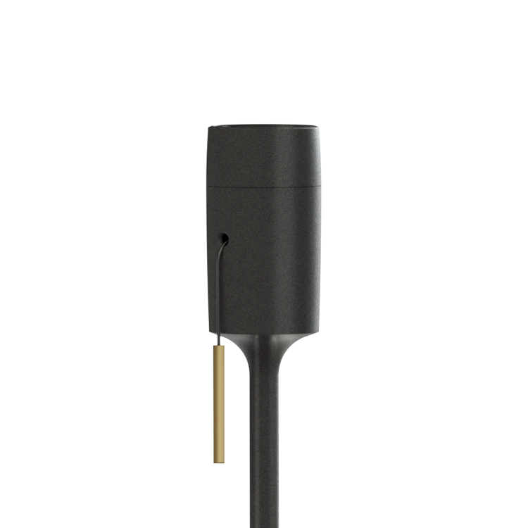 4036_Champagne_floor_black_closeup_72dpi.png
