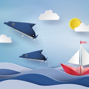 Delfiny z oceanu.jpg