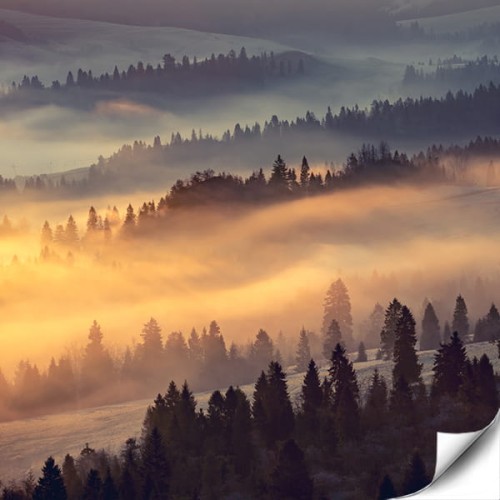 Promienie słońca.jpg