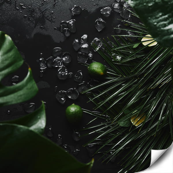 Limonki wśród monster.jpg
