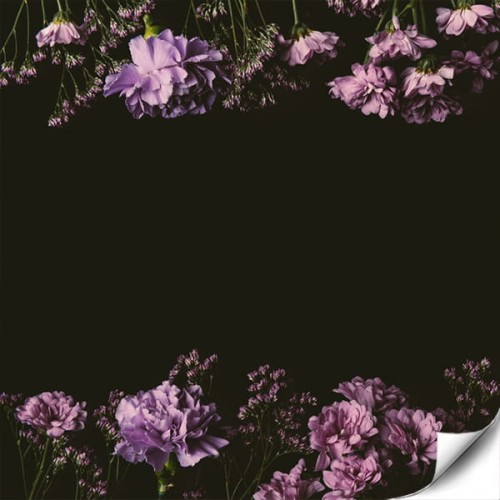 Delikatne kwiaty na czarnym tle.jpg
