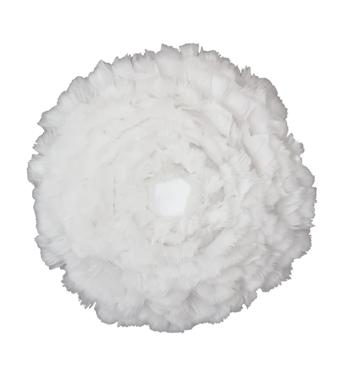 2140_Eos_Up_72dpi.png