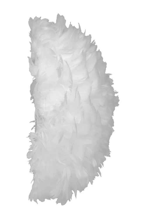 2140_Eos_Up_wall_72dpi.jpg