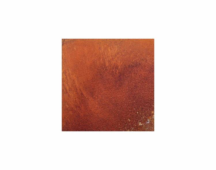 panel 60x60 fruform rust.png