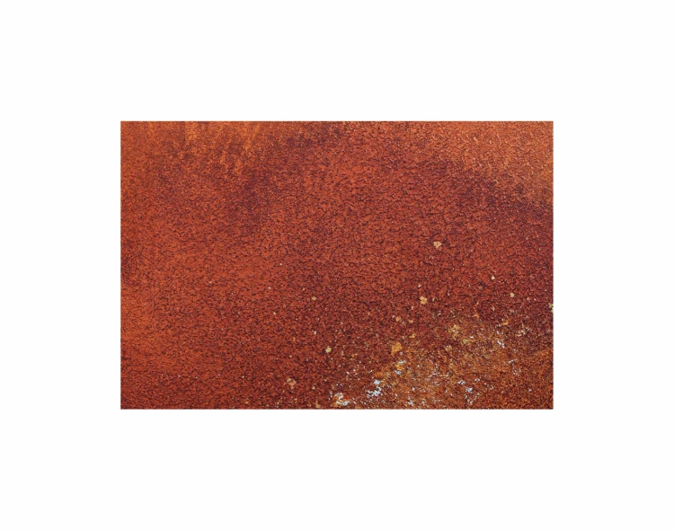 panel 90x60 fruform rust.png