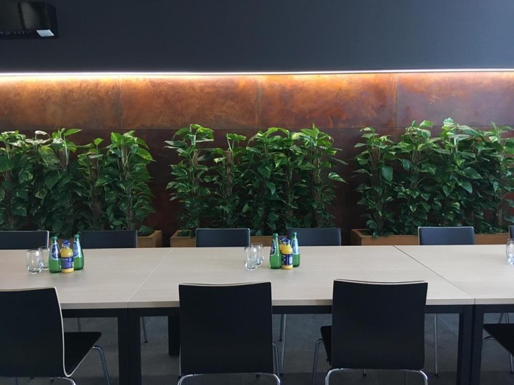 IMG_3914 (Copy) (Copy).jpg