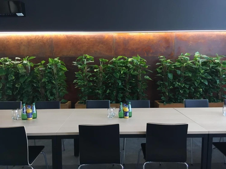 IMG_3914 (Copy) (Copy).jpg