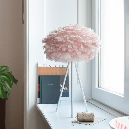 eos mini light rose 1.png