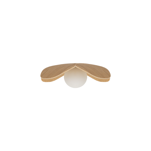 forget me not mini dąb.png