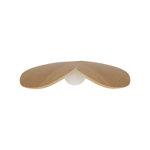 FORGET ME NOT MEDIUM DĄB.png