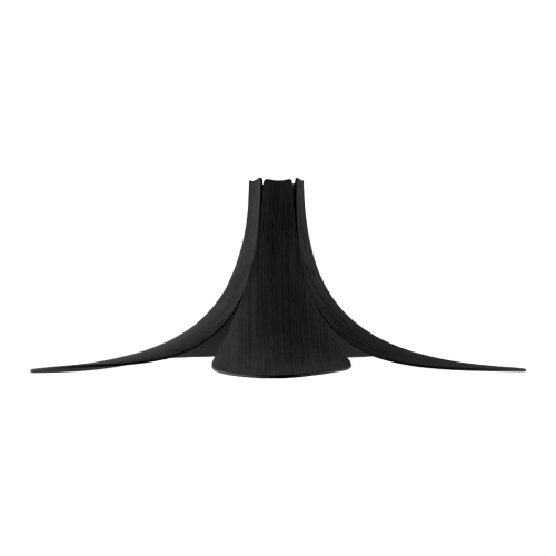 jazz czarny dąb.png