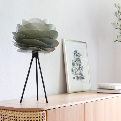 carmina mini amazon.png