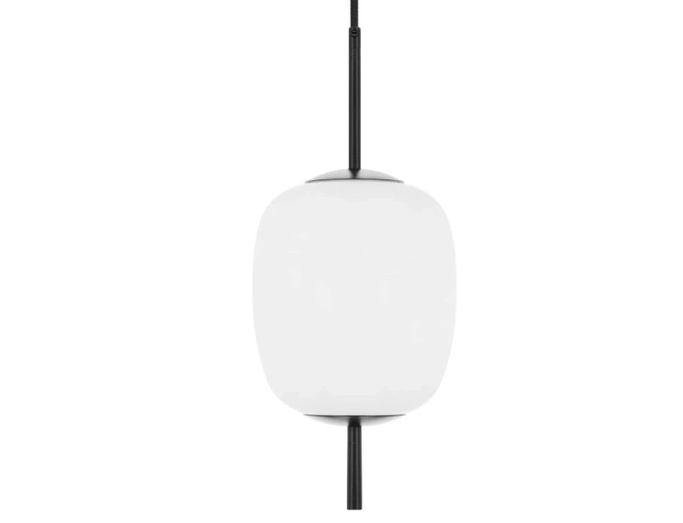 EPLI mini 1.jpg