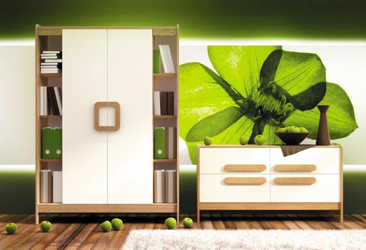 FIRST_szafa_z_polkami_ziel_01_full_res (Copy).jpg