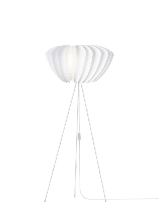 VITA_02039+04011.jpg