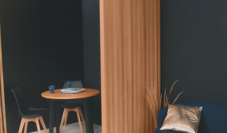 Scianka-dzialowa-w-salonie-inspiracja (4).png