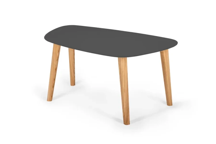 NRGBCE23 endocarp coffee table medium graphite_wynik.webp
