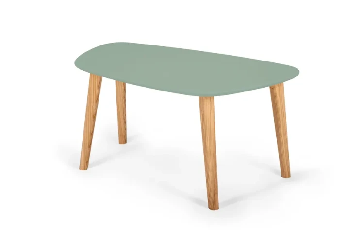 NRGBCE217 endocarp coffee table medium sage green_wynik.webp