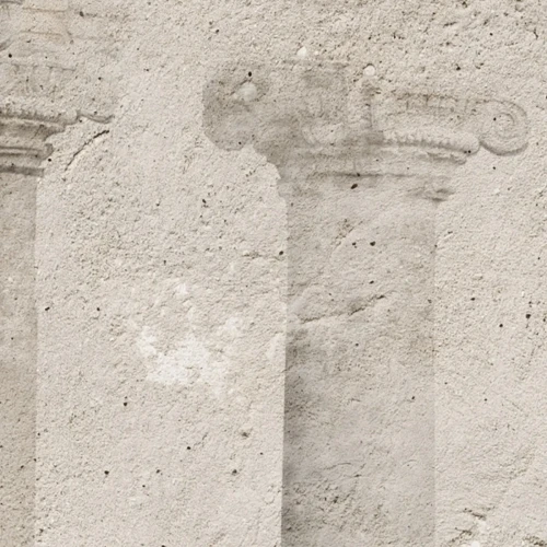 mural-antyczny-z-kolumnami-i-roslinnoscia-do-biura-na-wymiar-valare-exclusive-fru-dizajn