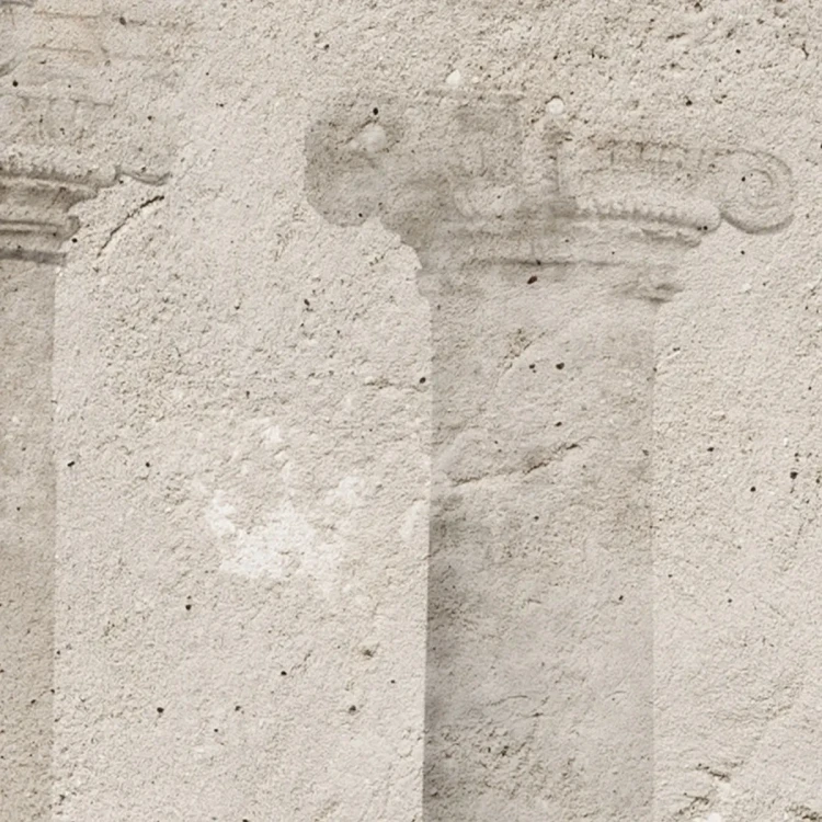mural-antyczny-z-kolumnami-i-roslinnoscia-do-biura-na-wymiar-valare-exclusive-fru-dizajn