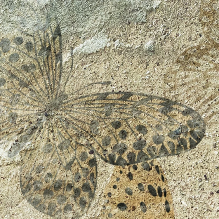 mural-motyle-na-zniszczonej-cegle-do-salonu-na-wymiar-valare-exclusive-fru-dizajn
