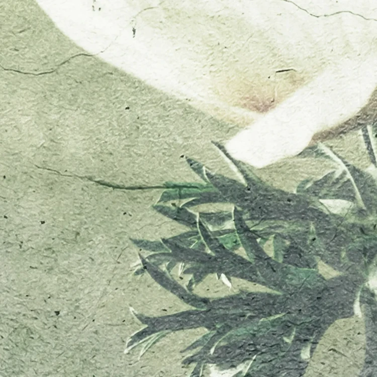 tapeta-vintage-z-bialymi-kwiatami-do-sypialni-valare-exclusive-fru-dizajn