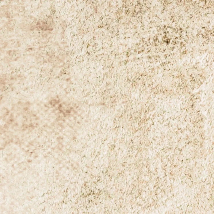 artystyczna-fototapeta-z-kwiatami-na-tle-w-kolorze-sepii-fru-dizajn