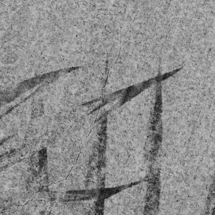nowoczesna-fototapeta-z-liscmi-na-betonowym-tle-fru-dizajn