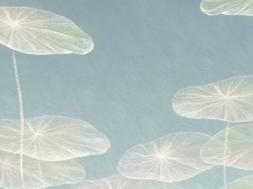 3_Pastel Bloom – Eteryczne kwiaty na subtelnym tle — kopia_frudizajn.webp