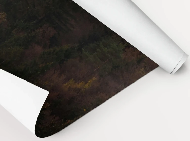 15_Misty Peaks – Jesienny las w objęciach mgły.webp