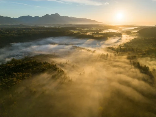22_Misty Peaks – Poranna cisza nad leśnym krajobrazem.webp