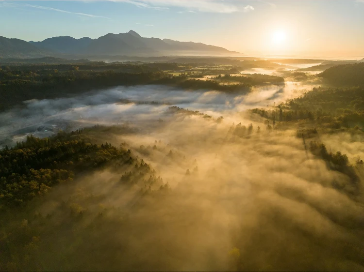 22_Misty Peaks – Poranna cisza nad leśnym krajobrazem.webp