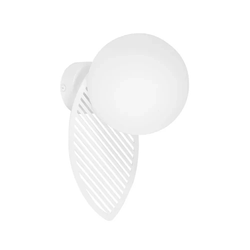 lampa-scienna-fyllo-b-biala-z-kula-ummo-frudizajn