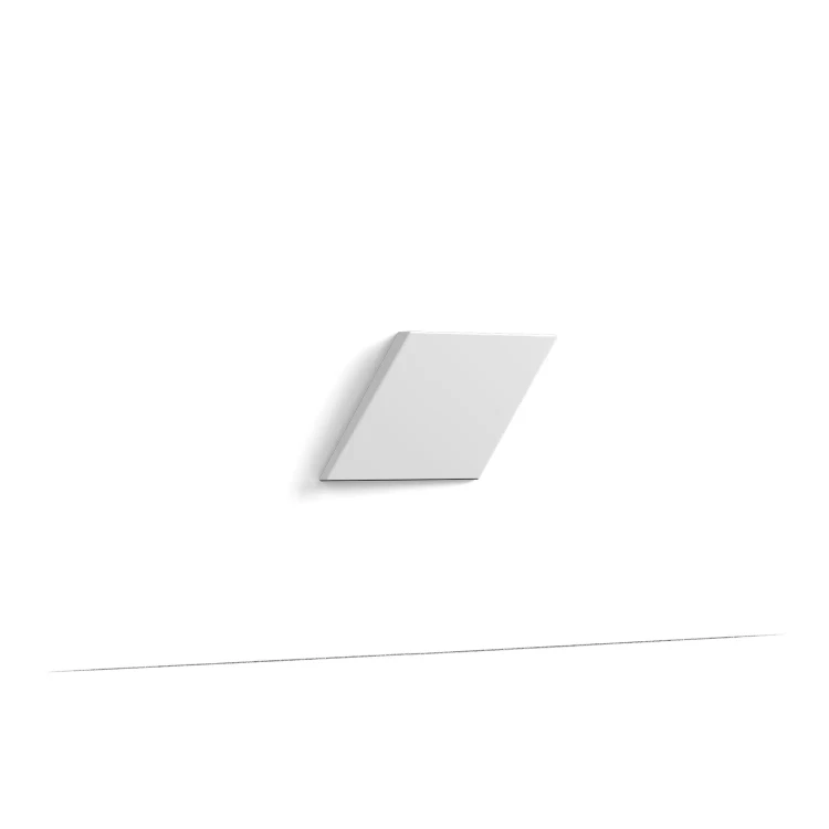 W100_decorative_element (1).webp