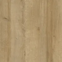 FF Dąb Riviera D1.webp