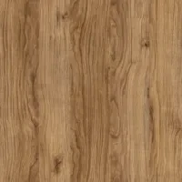 FF Dąb Catania N1.webp