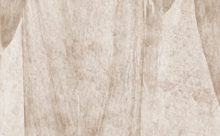 fototapeta-boho-na-wymiar-piora-braz-bez-frudizajn.webp
