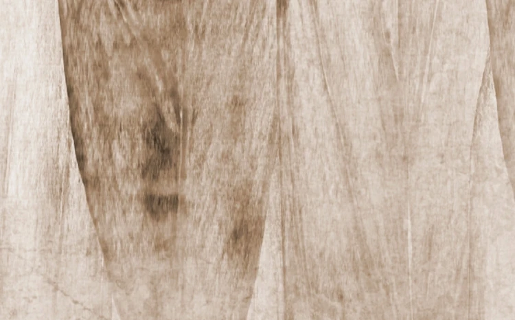 fototapeta-boho-piora-brazowe-frudizajn..webp