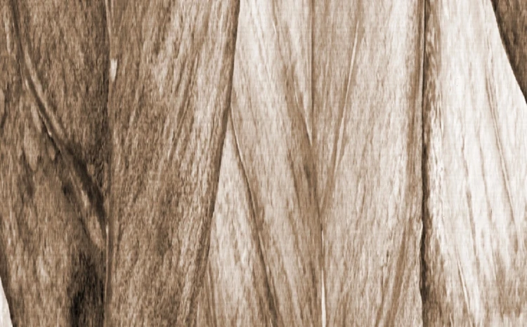 tapeta-boho-na-wymiar-piora-braz-frudizajn.webp