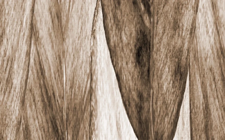 tapeta-boho-piora-brazowe-frudizajn.webp