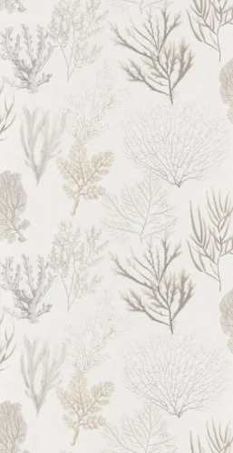 tapeta-corail-bezowy-casadeco-frudizajn.webp