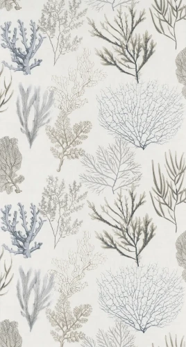 tapeta-corail-czarny-casadeco-frudizajn.webp