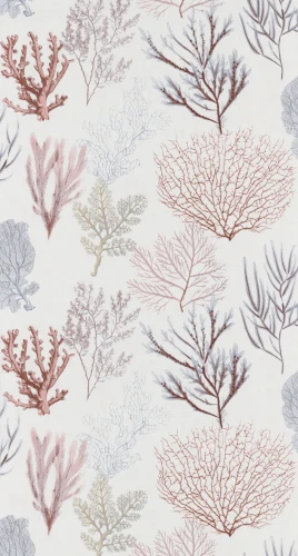 tapeta-corail-czerwony-casadeco-frudizajn.webp