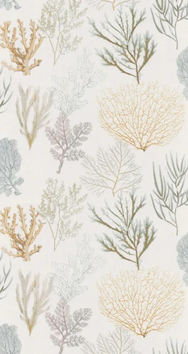 tapeta-corail-zolty-casadeco-frudizajn.webp