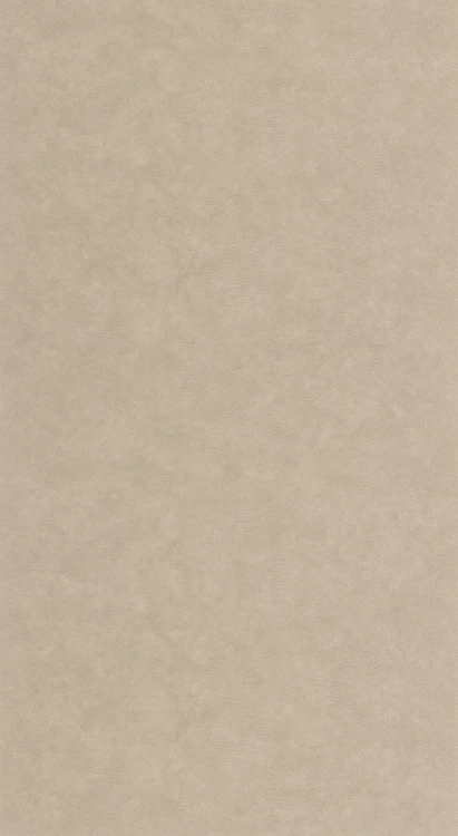 tapeta-cote-d-opale-taupe-casadeco-frudizajn.webp