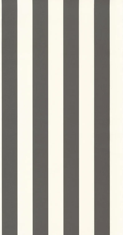 tapeta-rayure-baltic-weglowy-casadeco-frudizajn.webp