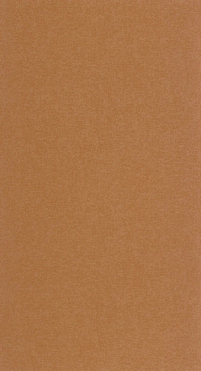 tapeta-dione-terakota-casadeco-frudizajn.webp