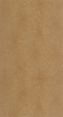 tapeta-helios-zloty-casadeco-frudizajn.webp