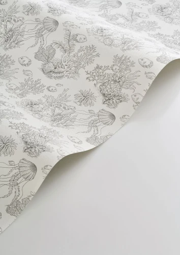 tapeta-cote-sauvage-mewi-szary-casadeco-seaside-zblizenie-frudizajn.webp