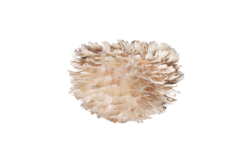2125_Eos_micro_light_brown.png